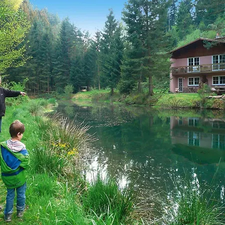 Apartment Spacious On Forellenhof, Zorn Valley Dabo