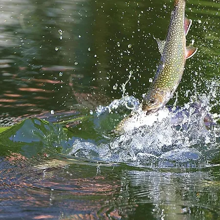 In Alsace With Private Terrace *