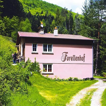 Spacious On Forellenhof, Zorn Valley Apartment