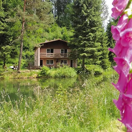 Spacious On Forellenhof, Zorn Valley