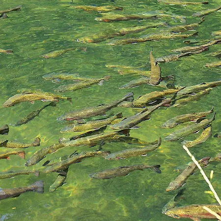 In Alsace With Private Terrace شقة *