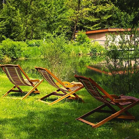 In Alsace With Private Terrace * Dabo