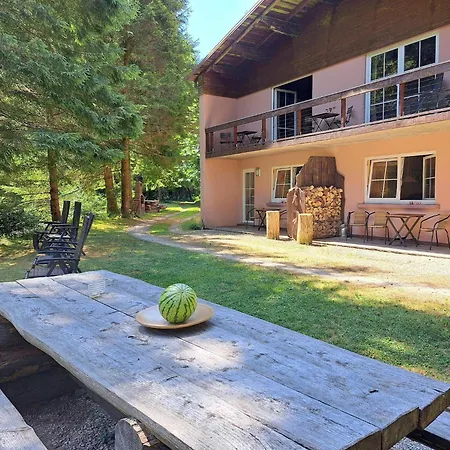 In Alsace With Private Terrace * Dabo