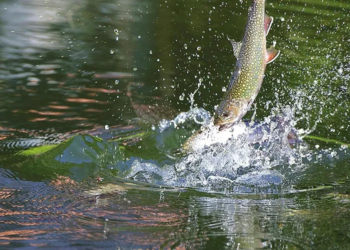 In Alsace With Private Terrace *