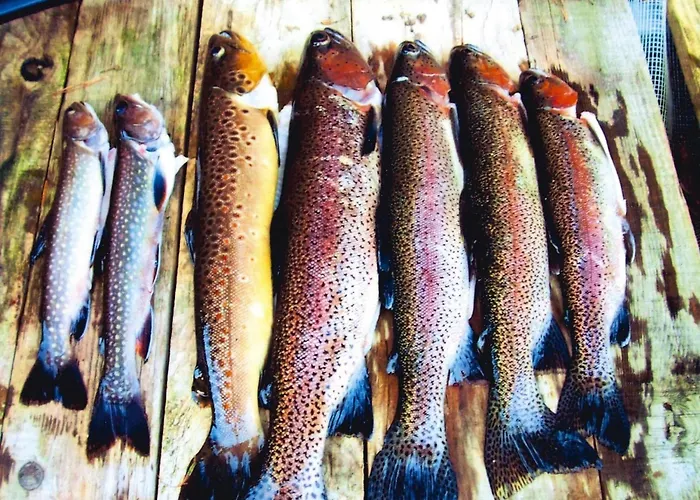 In Alsace With Private Terrace