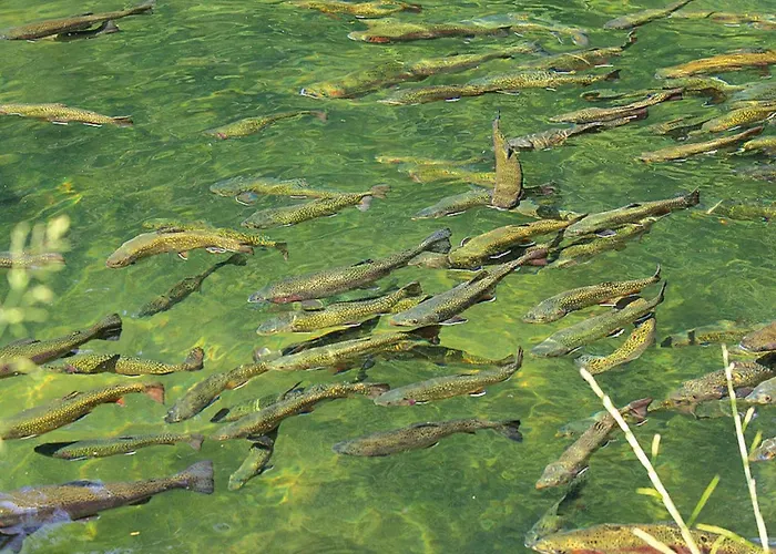 In Alsace With Private Terrace Apartament *