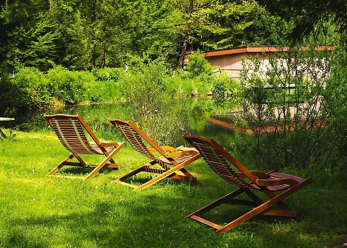 In Alsace With Private Terrace * Dabo