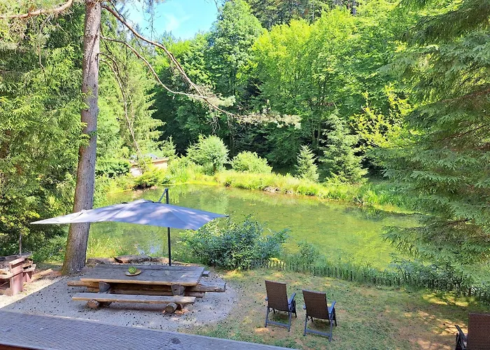 In Alsace With Private Terrace Dabo